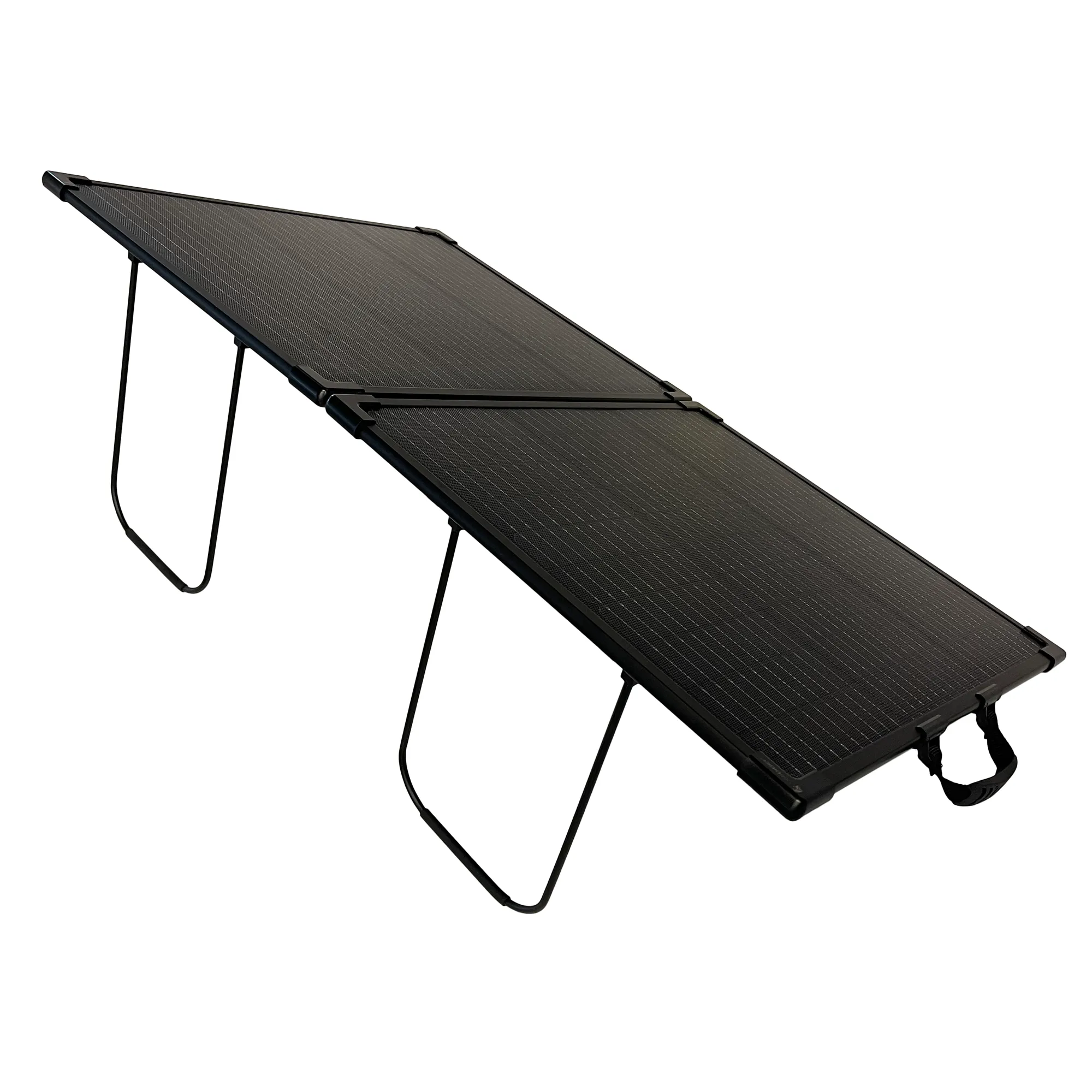 Lion Energy - 100W 24V Solar Panel - Image 2