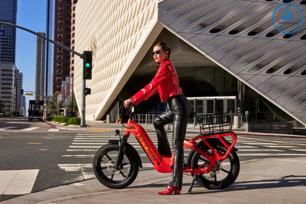 COLLIE CARGO EBIKE - Image 2