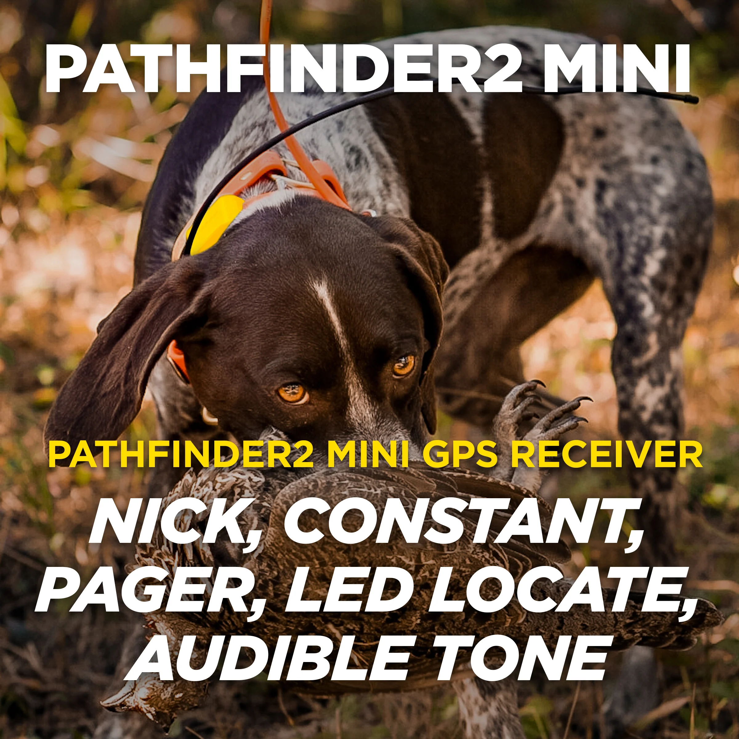 Dogtra PATHFINDER2 MINI GPS Dog Tracking and Dog Training System - Image 2