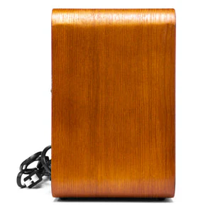 Fuse Rad-V1 Vintage Bluetooth Speaker with FM Radio - Image 4