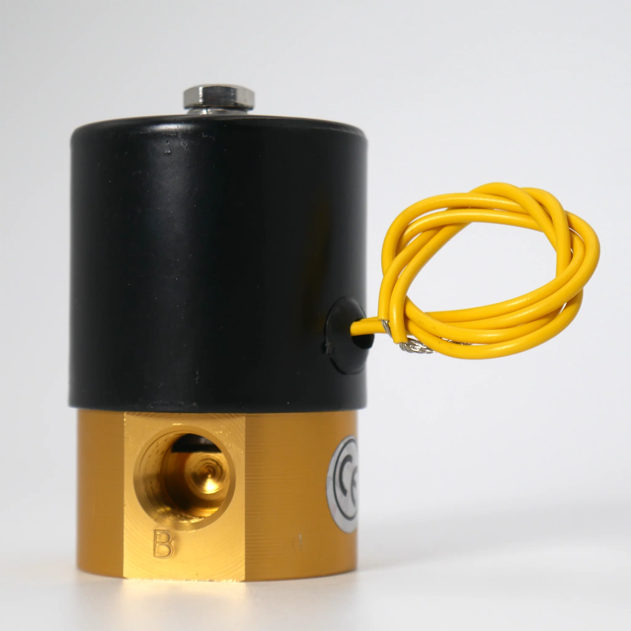 Gas Flush Solenoid Valve