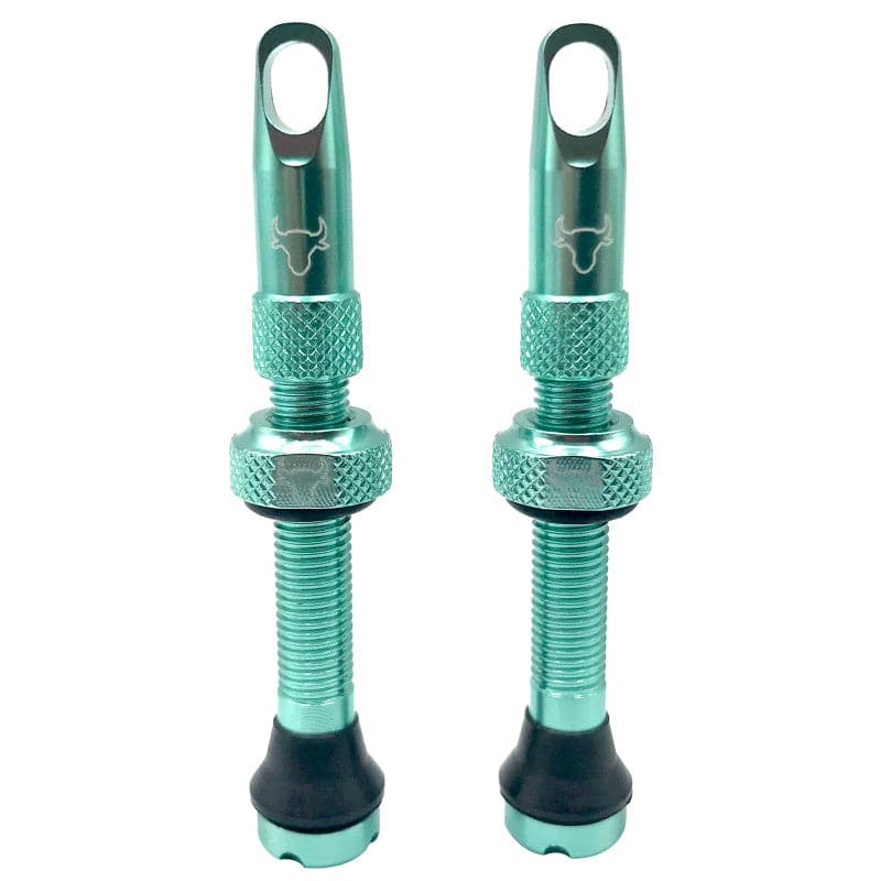 Hold Fast Cycling Tubeless Valve Stem - Presta - Image 13