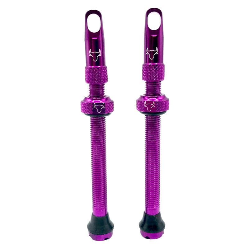 Hold Fast Cycling Tubeless Valve Stem - Presta - Image 23