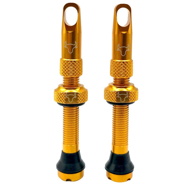 Hold Fast Cycling Tubeless Valve Stem - Presta - Image 5