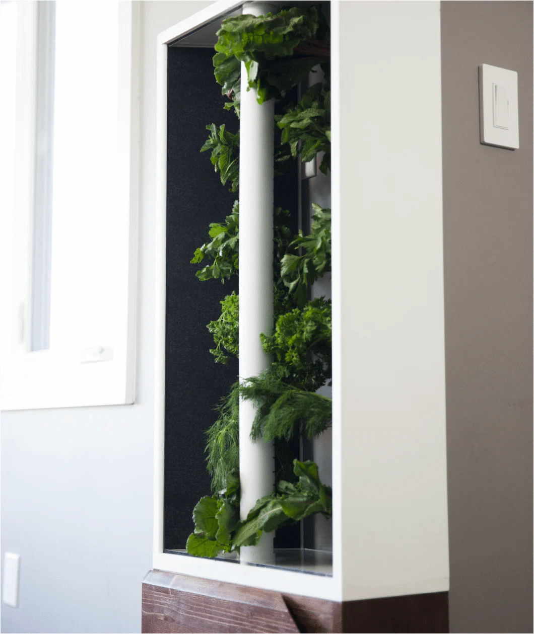 Just Vertical The Eve Indoor Hydroponic Garden w/ see pods - Image 5