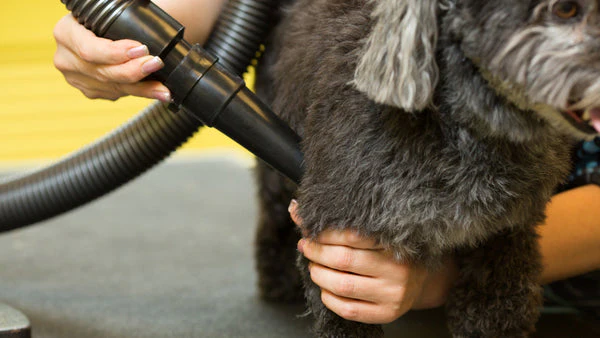 Metrovac AIR FORCE BLASTER PET DRYER B-3V - Image 2