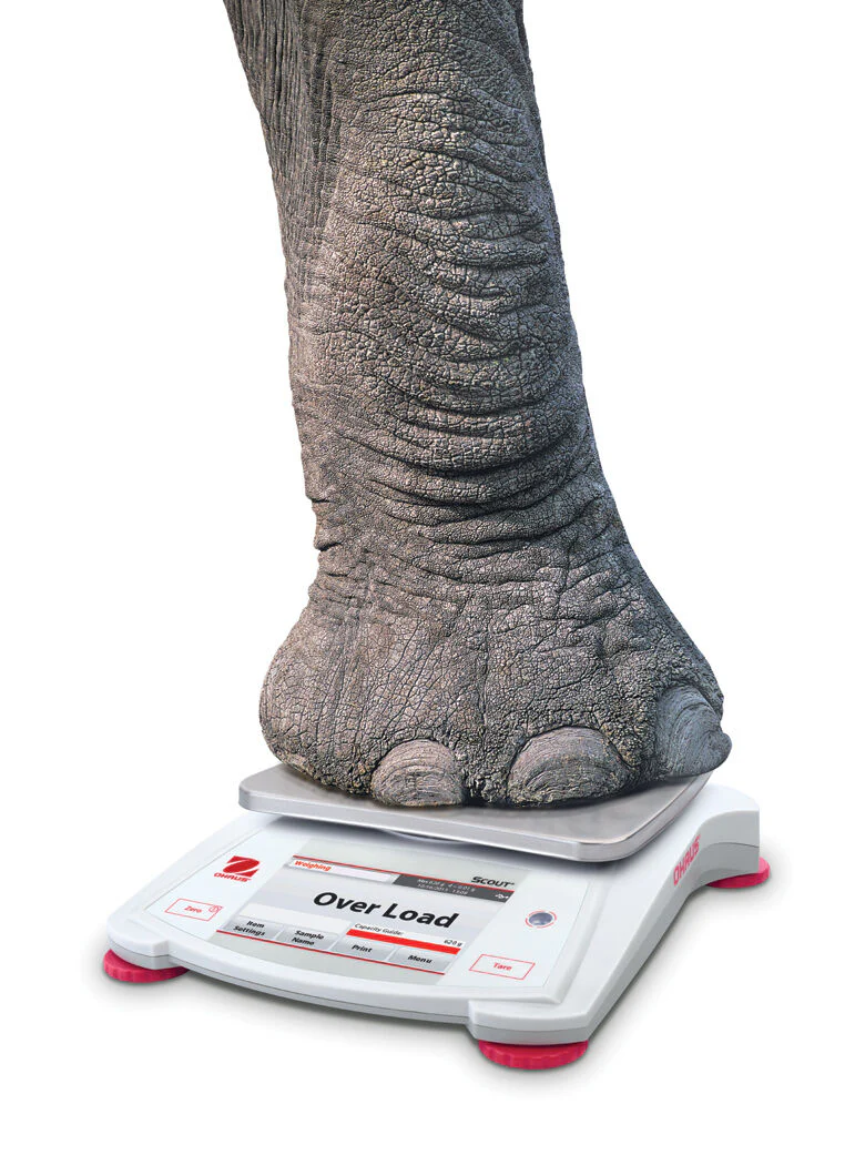 OHAUS Scout STX621 Portable Balance Scale 2 Year Warranty - Image 5