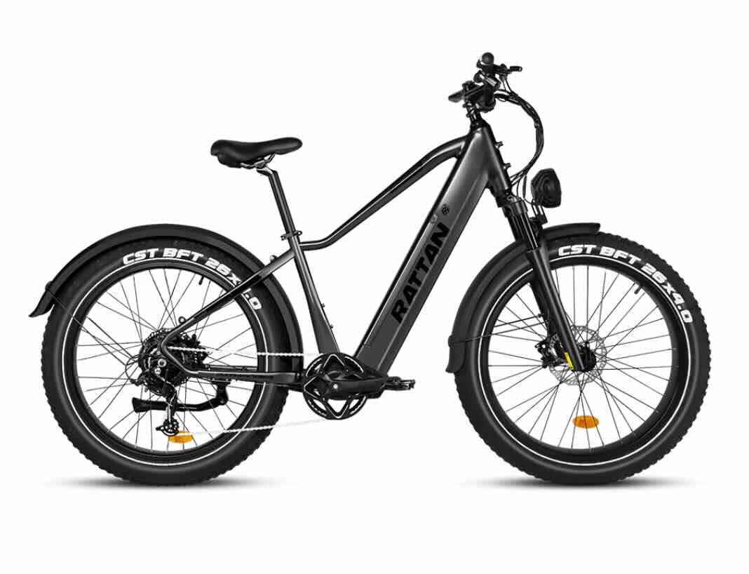 Rattan Pathfinder 750W Fat Tire e-bike - Image 2