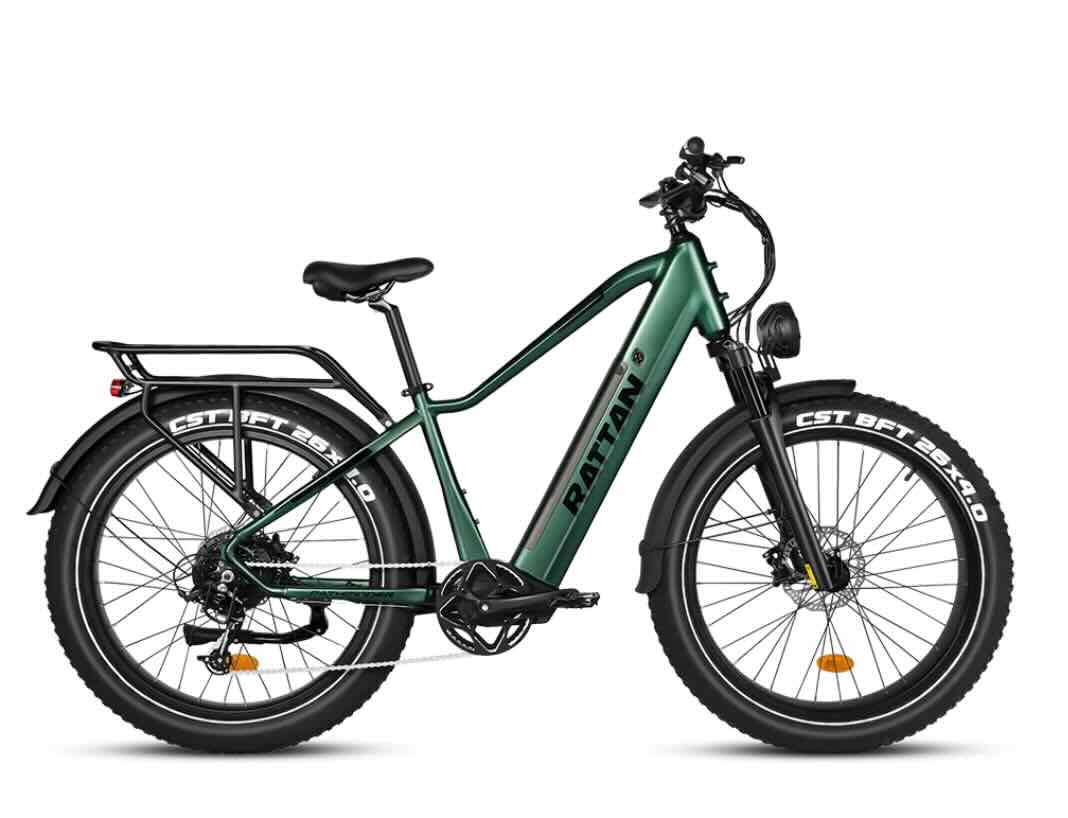 Rattan Pathfinder 750W Fat Tire e-bike - Image 3