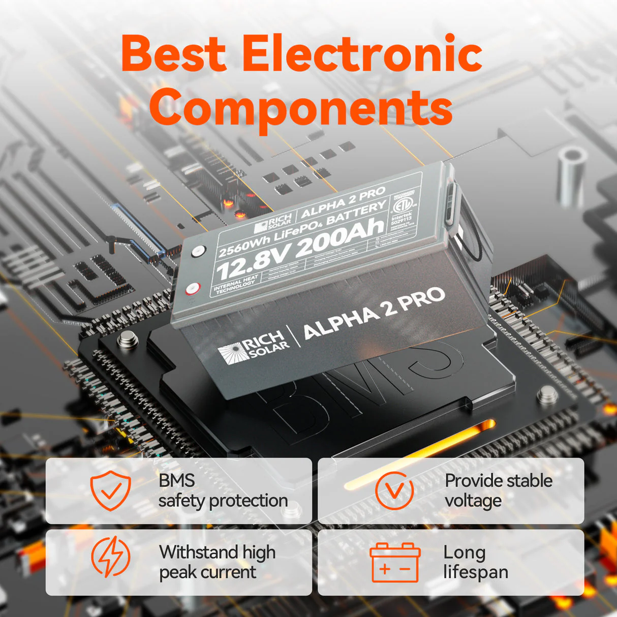 Rich Solar ALPHA 2 PRO | 12V 200Ah LiFePO4 Battery - Image 3